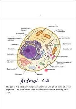 Introduction of cell