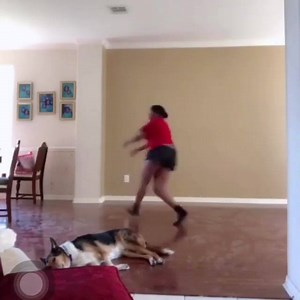 Best Damn Funny Videos on Reels