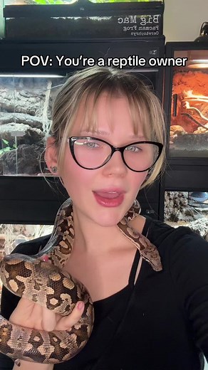Life with Exotic Pets: A Journey with Reptiles