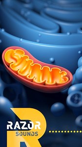 30K views · 35 reactions |  PODCAST ALERT ️ New episode of #RAZOR : Have we found the secret to eternal youth?  Listen now: https://www.cgtn.com/special/CGTN-EUROPE-PODCASTS.html | CGTNEurope | Facebook