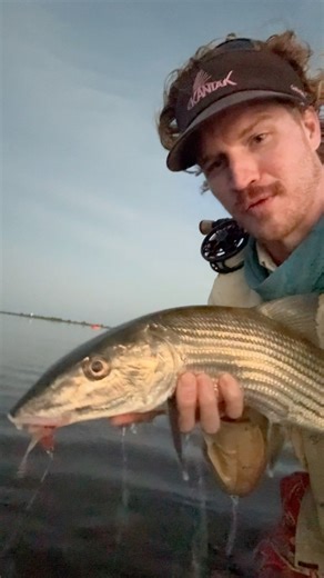 nighttime is the right time! Fun one today fly fishing for bonefish