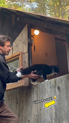 Missy’s Window #stainedglass #window #diy #cat #craft #nature #craftideas