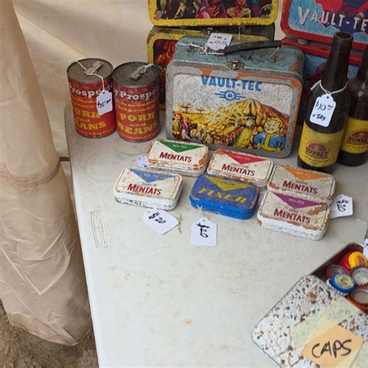 The Fallout Collector on Reels