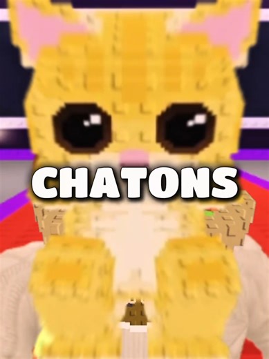 Le chat qui rapporte le plus dans Roblox