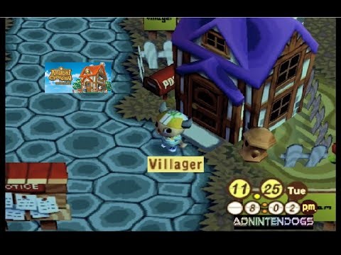 (Late) (Played) YouTube Town On Animal Crossing Refinement Also Nametag On November 25th, 2025.