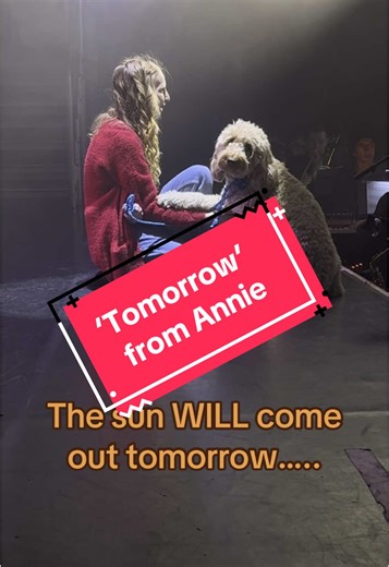 Magnificent Community Theatre Performance of Annie