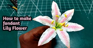 How to make Lily flower with fondant #fondant #fondantcakes #cake #cakedesign #cakedecorating #fondantdoll #cakeart #craft #birthdaycakeideas music Title: Sunday Sunshine (feat. Sharkie J) Artist: Neko Fuzz Link: https://business.facebook.com/sound/collection/?sound_collection_tab=sound_tracks&asset_id=7598188866957578&reference=artist_attr Title: Blessings Artist: Charlie Peacock Link: https://business.facebook.com/sound/collection/?sound_collection_tab=sound_tracks&asset_id=2660063224175938&re