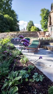 332 reactions · 16 shares | Enjoy 15% off your 2025 holiday at...