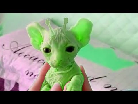 Gnarp Gnarp / Alienposting Meme Analysis