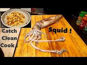SQUID - Catch Clean Cook ! How to Prepare & Cook Squid