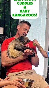 32 reactions | Baby Sloth cuddles and Bottle Feeding baby Kangaroos!! | Ocoee Riverside Farm | Facebook