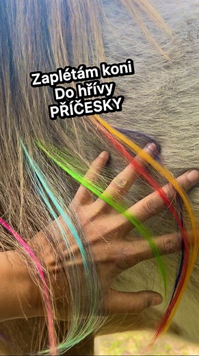 37K views · 730 reactions | Koko jako duhový jednorožec 濾 | Kristy. M Ranch | Facebook