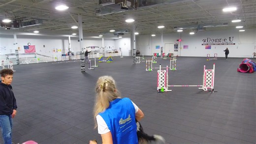 DACLI AKC Agility 11/9/25: Masters/Excellent Jww Doggie U K9 Academy | Doggie U K9 Academy