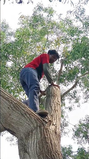 “2 Girls vs 1 Fat Boy 😂 Tree Prank Gone Wrong! #viral