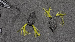 39K views · 828 reactions | These hollow body frog tweaks are legit! ✂ | Wired2Fish | Facebook