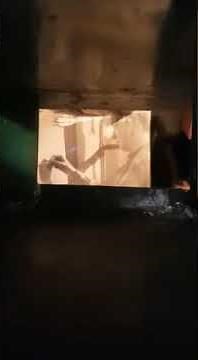 Mutoscope flick pic - what the butler saw !