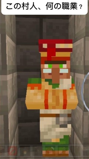 この村人、何の職業？ #マイクラ #minecraft #マインクラフト #まいくら #ゲーム