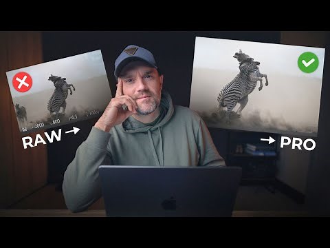 Powerful Cropping Techniques for Wildlife Photography
