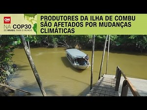 Ilha do Combu é rota turística da capital paraense | CNN PRIME TIME