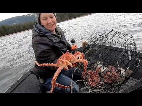 Living off grid in Alaska part of the way we harvest food is through crabbing