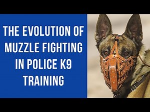 The Evolution of Muzzle Fighting in Police K9 Training