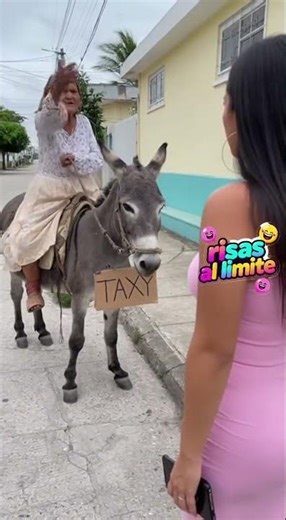 La abuela taxista llega en su burro taxi” #republicadominicana #humor #abuelita #comedia