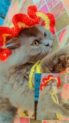 Crochet CAT CAP | Crochet Tutorial for beginners #crochet #diy