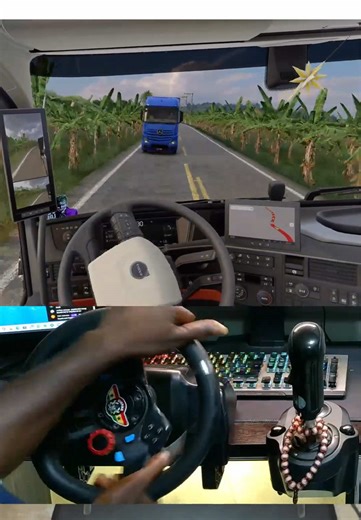 Careless Truck Driver Causes Crash in Euro Truck Simulator 2