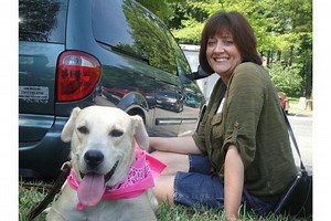 Lab Rescue Finds Homes for Labrador Retrievers