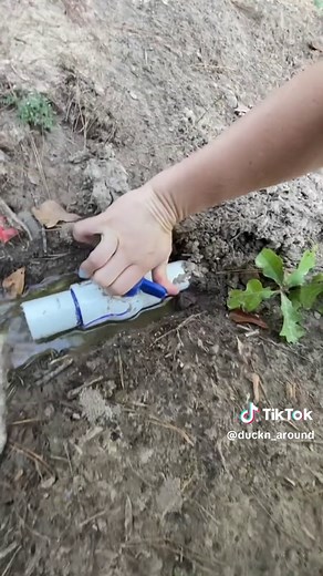 Tips for building your own, easy to clean duck house 🦆 #diy #coops #diycoop #duck #ducksoftiktok #magpieduck #cleaninghacks #aww #chickencoop #metzerfarms #duckcoop #quackshack