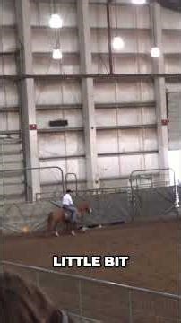 Cow Training: Mastering Arena Control with Horses