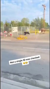 No copyrights to the music in this compilation lmao 🤣 100064381405833:2048:U.S. Army memes #memes #army #usarmymemes Part 1 | U.S. Army memes