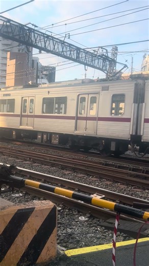 This Is What a Morning Train Crossing Looks Like in Japan