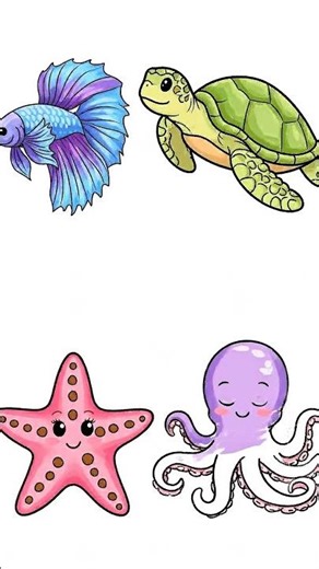 Kids Coloring Animation