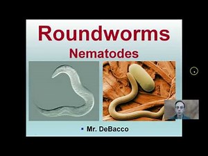 Roundworms