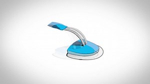 Watch FrogLog Animal Saving Escape Ramp for Pool on Amazon Live