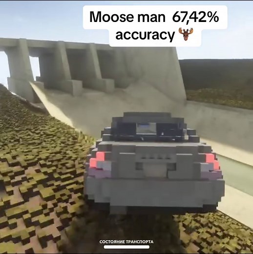 Moose Man: Exploring 67.42% Accuracy in GTA5
