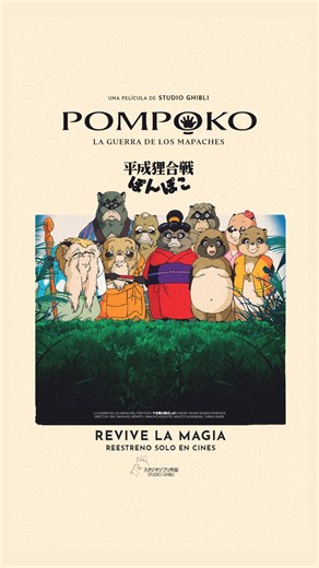 247AniGeek on Instagram: "🍿Ya en cines de Argentina la película “POMPOKO”. 🦝 Como parte del ciclo de Mundo Ghibli, la película “La guerra de los mapaches” regresa a la pantalla grande. Este filme fusiona el humor y la fantasía para reflexionar sobre la pérdida del hogar y la defensa de la naturaleza. ✖️Sinopsis: La trama sigue a un grupo de mapaches cambiaformas que lucha contra el avance humano que amenaza su hábitat natural, utilizando magia, imaginación y un gran corazón. ✖️Con una duración