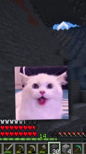 aliens? #minecraft | minecraft