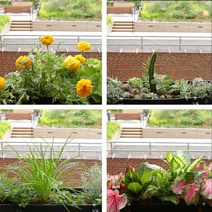 2.4M views · 2.5K shares | Add more green to your small space with this no-drill window box  | Tasty Home | Facebook