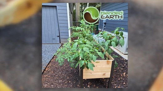 GardenSMART compares 2 different growing media. The results are definitive and impressive. Click her for an informative video. | GardenSMART