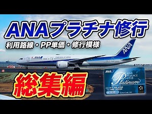 [ANA Platinum] Routes, PP unit cost, and training patterns! Useful for SFC training!