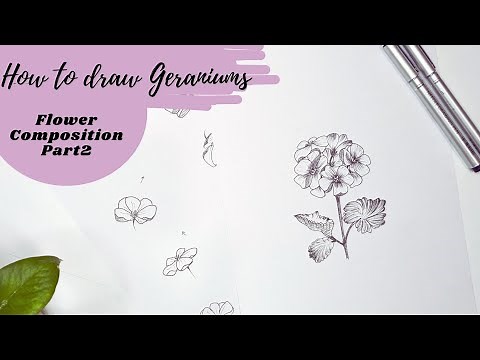 How to draw Geranium flowers. Step by step flower drawing tutorial. Sketching genanium flower.