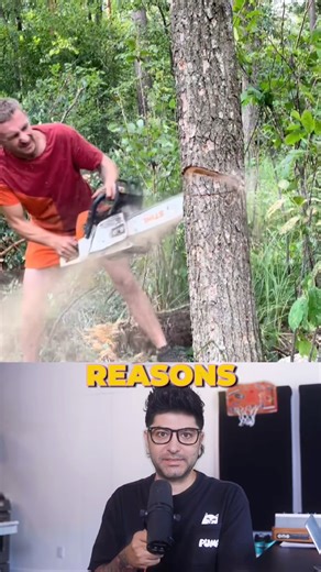 secret trick for cutting down a tree perfectly
