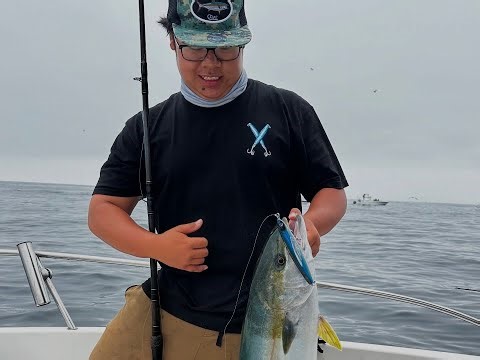 San diego yellowtail fishing at the coronado islands!