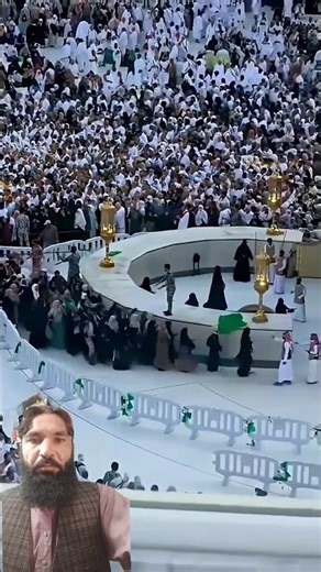 New Cool Tool! 🥰 New Viral Gadgets,SmartKitchen Appliances, Tools, Utensils, Home Cleaning #shorts