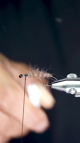 211K views · 2.5K reactions | Soft Hackle - I love swinging these for steelhead. Tie a bit smaller and you’ll get plenty of trout eats | The Tao of Flies | Facebook