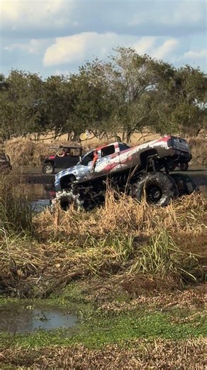 Plant Bamboo TRUCKS GONE WILD weekend #megatruck #mudbog #offroad #mud