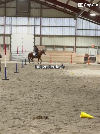 #horse #equestrianjourney #equestrian
