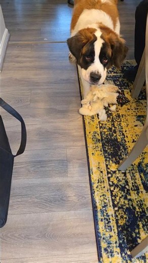 Not the Whole Toy!!